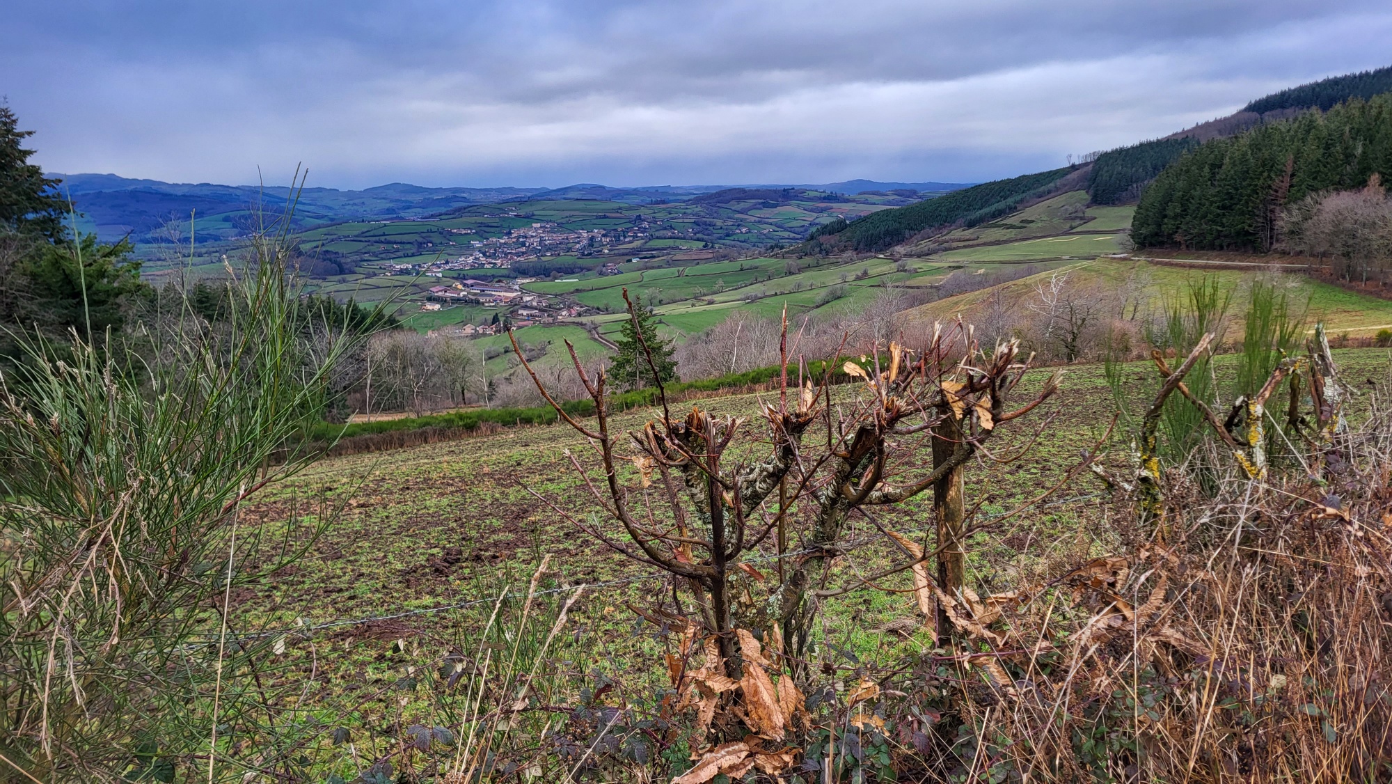 Randonnée / Cenves, le jeudi 18 janvier 2024