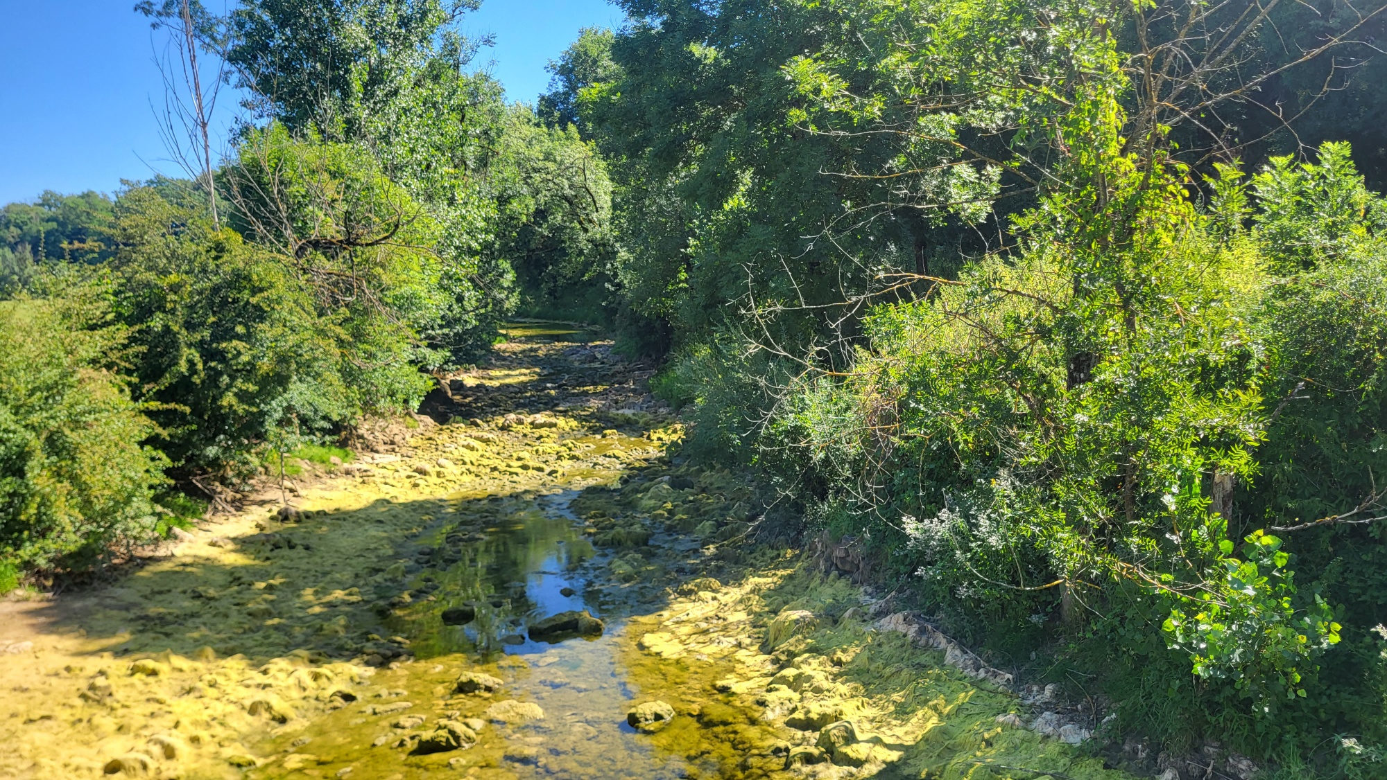 Randonnée / Villereversure, le jeudi 9 juillet 2026