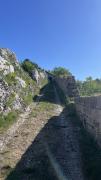 IMG7166