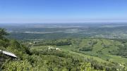 IMG7195