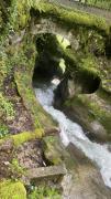 IMG7231