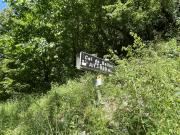 IMG7475
