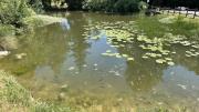 IMG7498