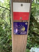 IMG7786