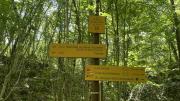IMG7796