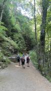 IMG7890
