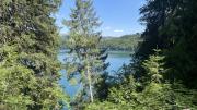 IMG7897