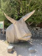 IMG7906