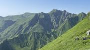 IMG7946
