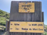 IMG7961