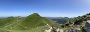 IMG7964