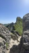 IMG7967