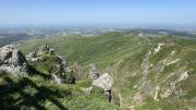 IMG7977