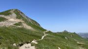 IMG7982
