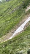 IMG7984