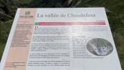 IMG7991