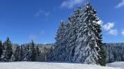 IMG6070
