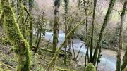 IMG6274