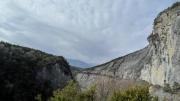 IMG6475