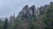 IMG6530