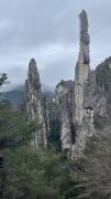 IMG6537