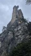 IMG6539