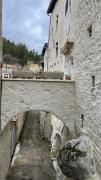 IMG6572
