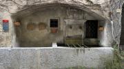 IMG6575