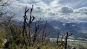 IMG6595