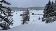 IMG6771