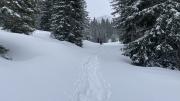 IMG6772