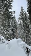 IMG6775