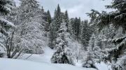 IMG6781