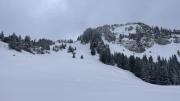 IMG6782