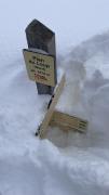IMG6783