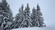 IMG6789