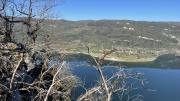 IMG6931